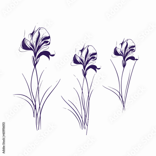 Elegant iris illustration in vector format.
