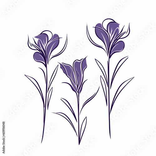 Striking iris vector illustration suitable for print.