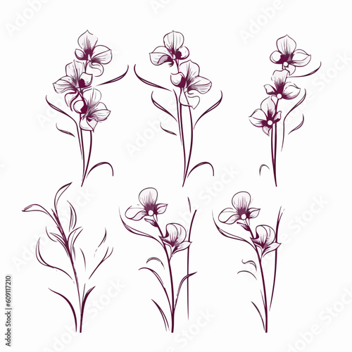 Captivating orchid illustration in a modern style.