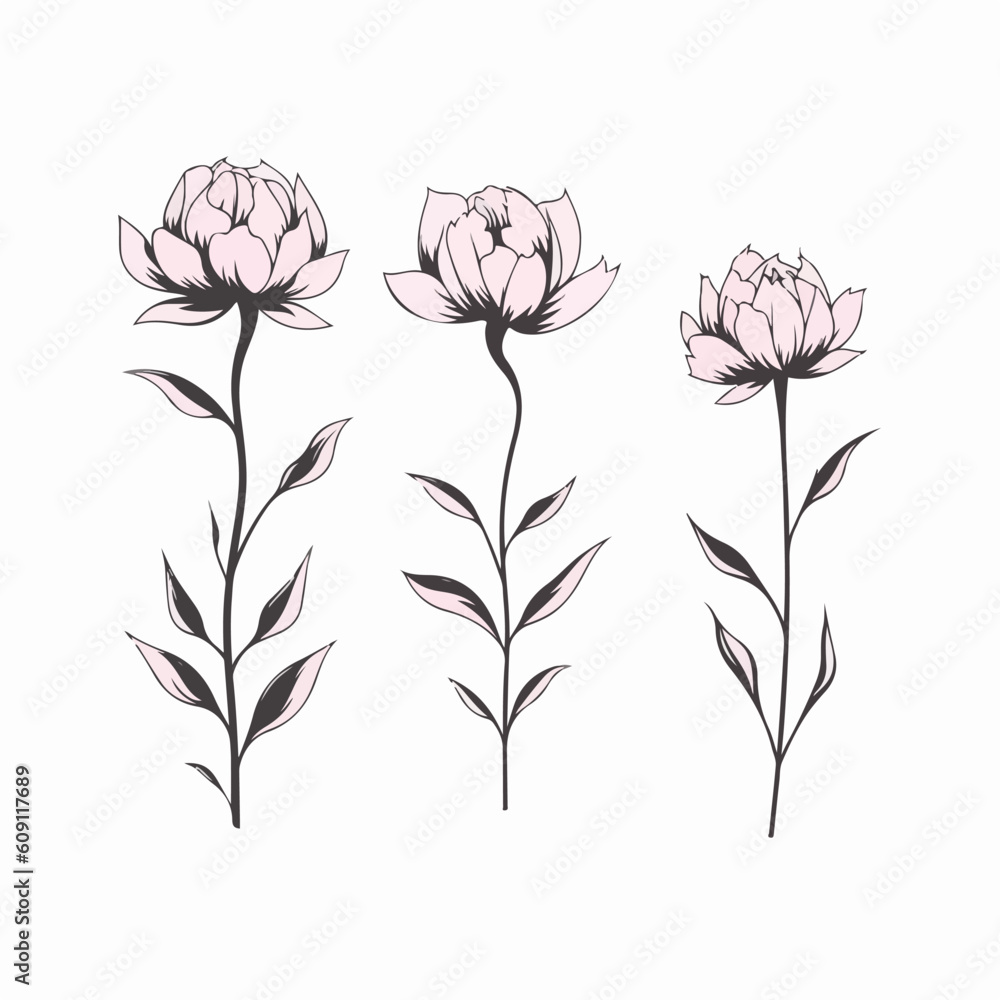 Captivating peony illustration in a modern style. Captivating peony illustration in a modern style.