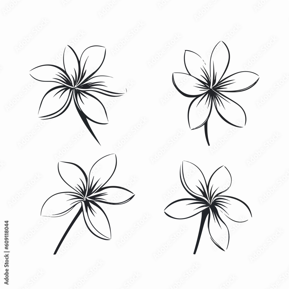 Obraz premium Beautifully detailed vector illustration of a plumeria blossom.