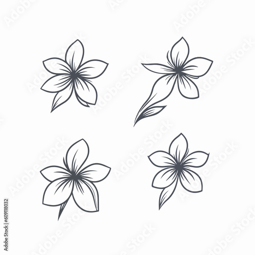 Artistic interpretation of a plumeria with delicate linework.