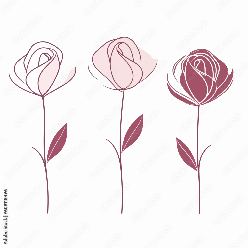 Detailed vector illustration of elegant rose blossoms.