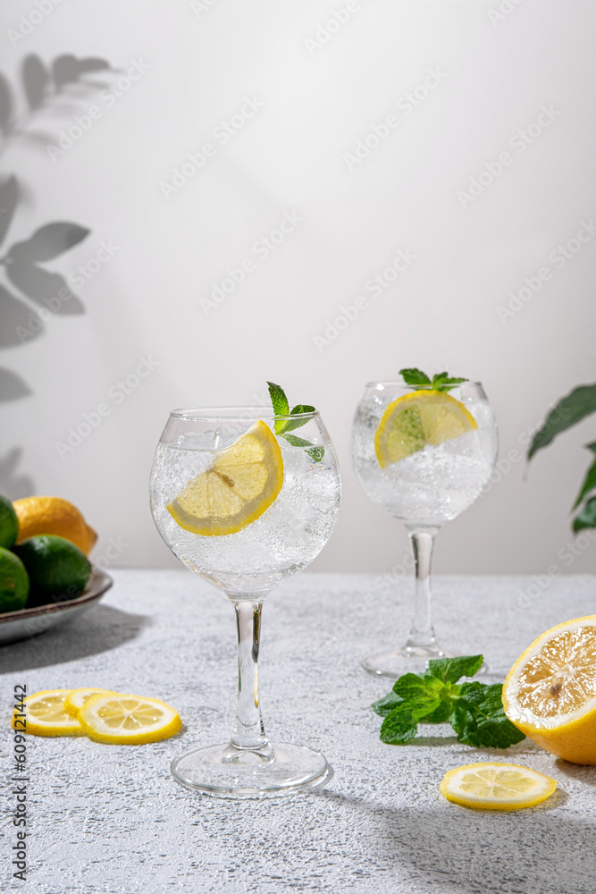 Gin tonic classic alcoholic cocktail drink with dry gin. Alcohol drink