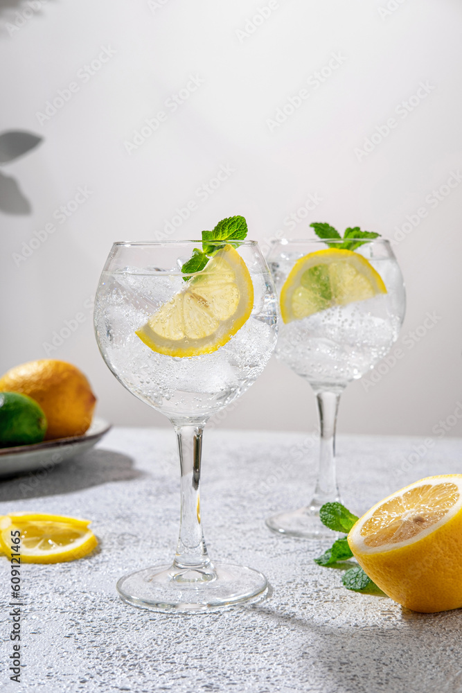 Gin tonic classic alcoholic cocktail drink with dry gin. Alcohol drink