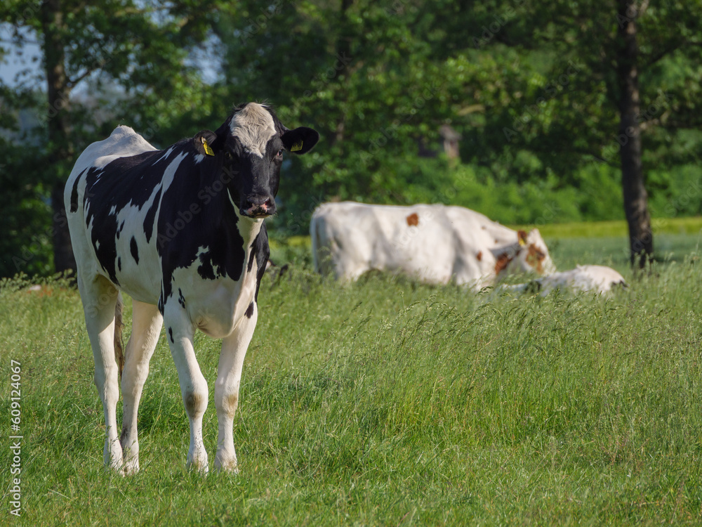 Weseke im westliche Münsterland Weseke im westliche Münsterland