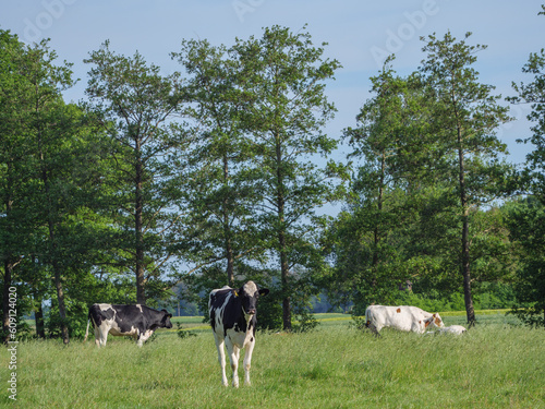 Weseke im westliche Münsterland photo