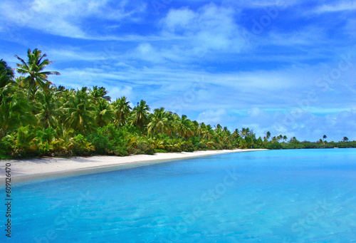 Palms on Beach photo