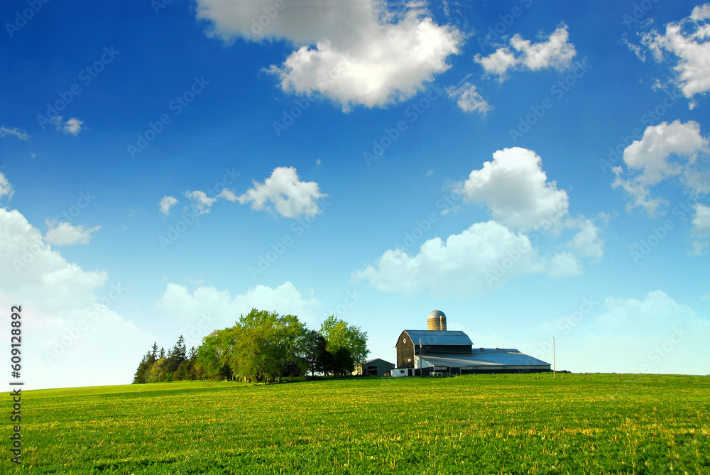 Fototapeta premium Farmhouse and barn among green fields