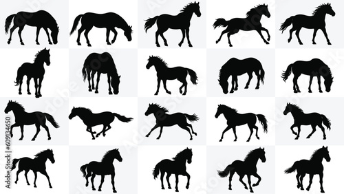 Horse Silhouettes Collection, Highly Detailed Lion Silhouettes Stock Illustration, set vector