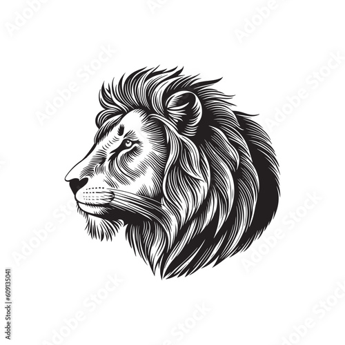 Lion head sketch hand drawn vector, engraving style. Wild animals Vector illustration