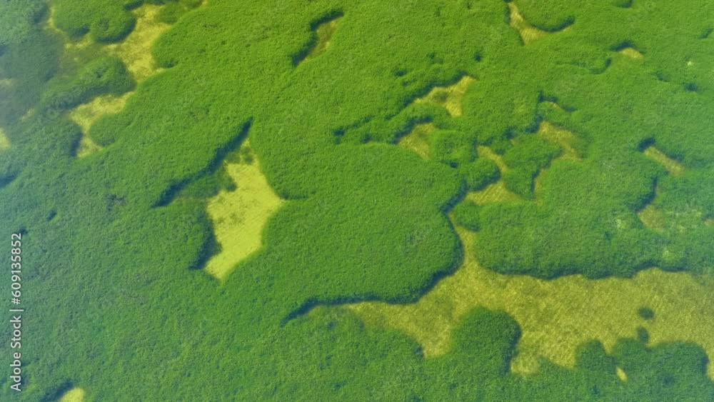 Drone view of the wetland. Aerial view of the landscape between the town of Huerta de Valdecarábanos and La Guardia. Toledo Province. Castilla la Mancha. Spain. Europe Drone view of the wetland. Aerial view of the landscape between the town of Huerta de Valdecarábanos and La Guardia. Toledo Province. Castilla la Mancha. Spain. Europe