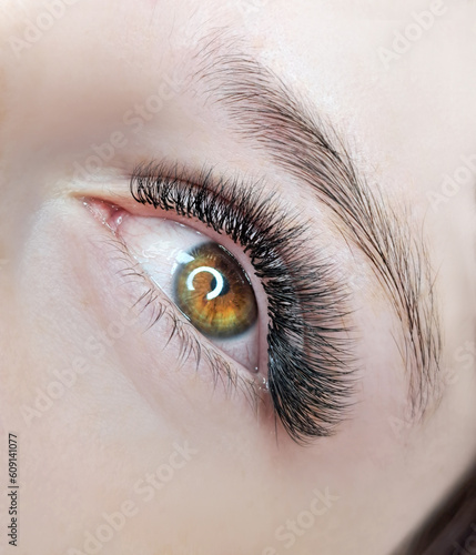 close up of eyelash extensions in beauty salon macro eye.