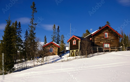 Wooden chalets among snow covered trees, Storhogna, Sweden