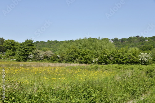 L'une des prairies dans la vallée de la Sambre à Thuin  photo