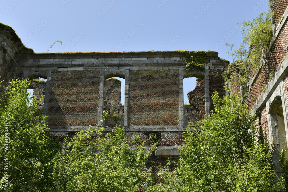 Les vieux murs encore debout parfois couvert de végétation des bâtiments en ruines de l'abbaye d'Aulne à Thuin Les vieux murs encore debout parfois couvert de végétation des bâtiments en ruines de l'abbaye d'Aulne à Thuin
