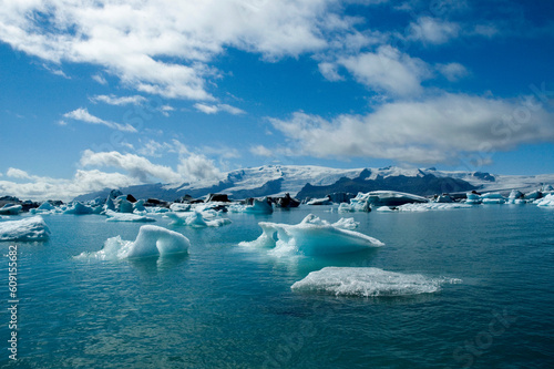 Iceberg in lake