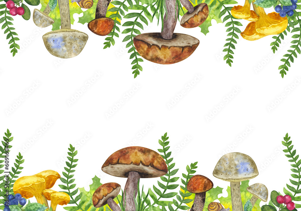 Banner botanical: edible mushrooms, leaves and berries, fern, snail, grass, cranberry, mountain ash. Hand draw watercolor illustration isolated on white background. Design element