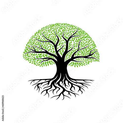 Vector oak tree logo design template illustration