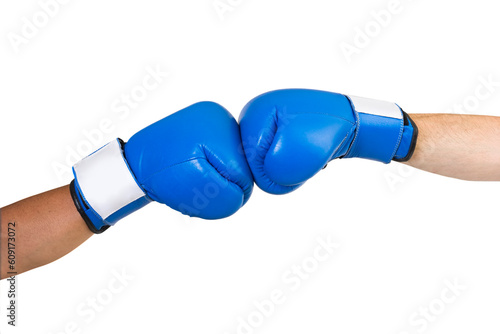 Blue boxing gloves head on © Designpics