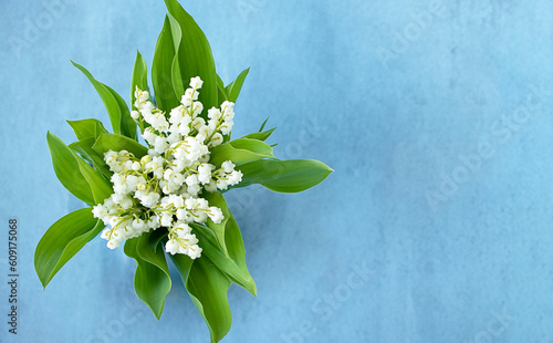 Lily of the valley flower on blue background