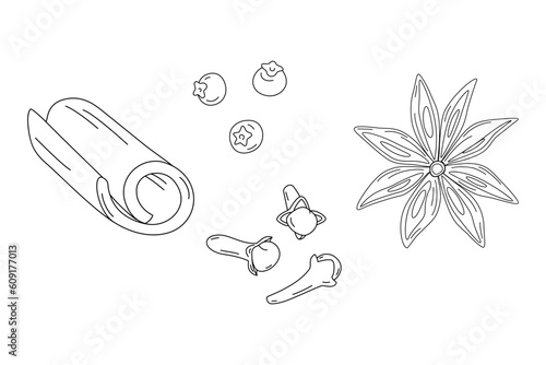Set of spices for mulled wine. Hand drawn cinnamon stick, cloves, star anise and allspice. Vector.