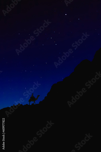 Night in Sinai Desert