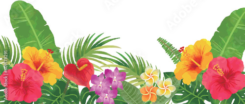 トロピカルな南国の花と植物のフレームイラスト　手描き水彩