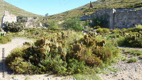 Real de Catore Landscape