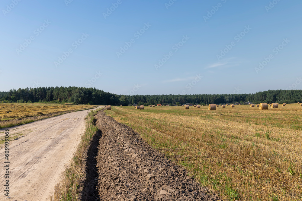 Rural road for cars and transport