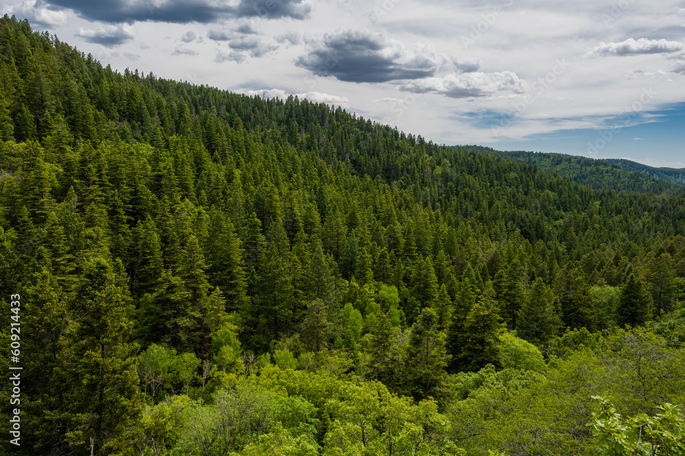 beautiful view of lincoln national forest