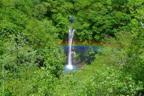 Komadome Falls surrounded by fresh green and the rainbow over it, Nasu, Tochigi, Japan