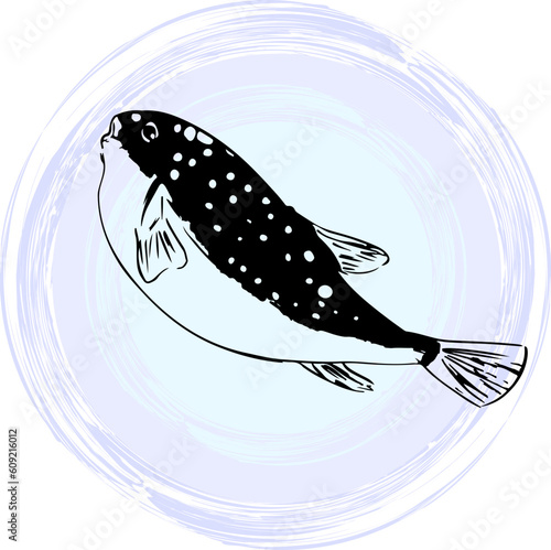 墨で描いたフグのイラスト