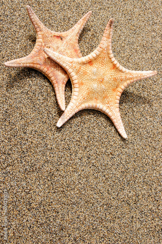 Two orange starfish on golden sand background