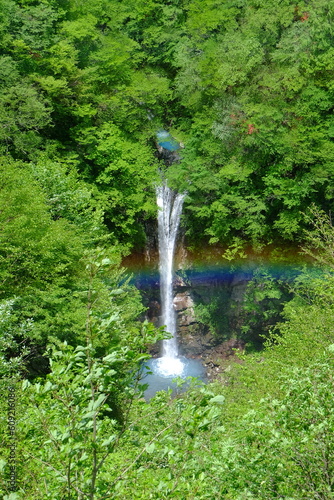 Komadome Falls surrounded by fresh green and the rainbow over it, Nasu, Tochigi, Japan