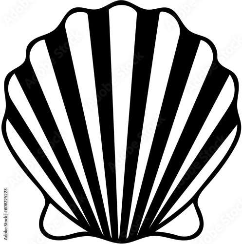 sea shell vector illustration,shell.black line