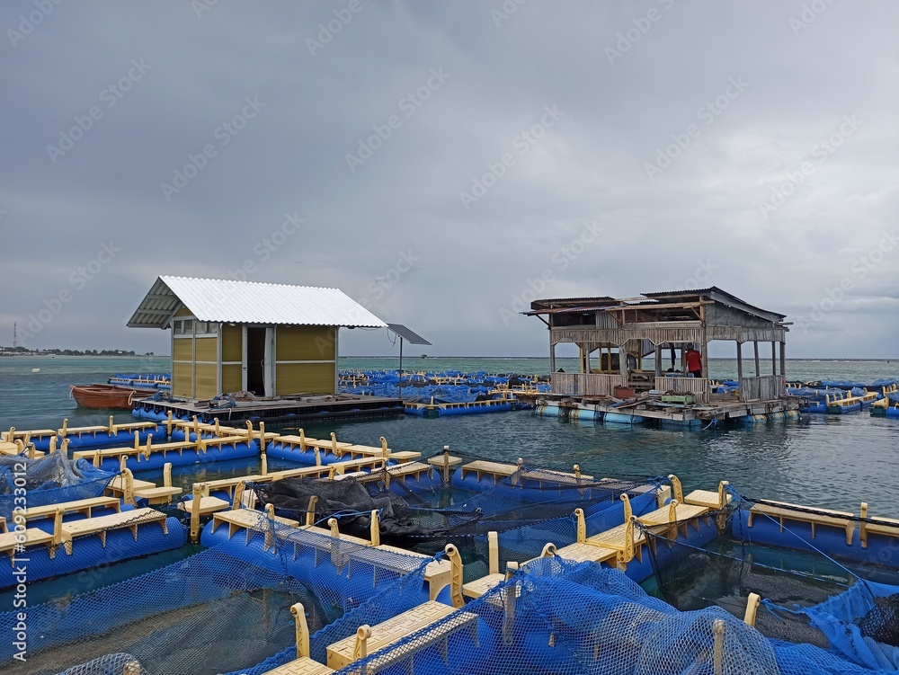 Floating net cages are a type of aquaculture system used to grow fish or other aquatic organisms in an enclosed area in open water bodies. They consist of a floating frame made of high-density pipe