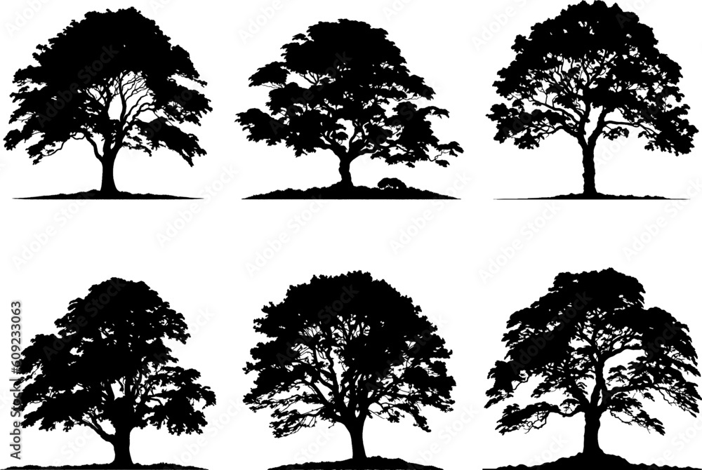 A black and white silhouette of a large tree. Tree element to create a group of plants somewhere - obrazy, fototapety, plakaty 