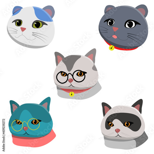  Happy international cat day characters design collection with flat color in different poses. Set of adorable pet animals isolated on white background.Cute cats and funny kitten doodle vector set.