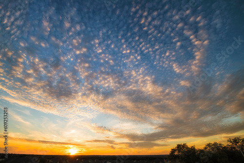 sunset over the field