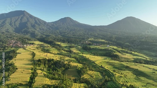 Jatiluwih Rice Terraces viewed from drone zooming out on sunny day. Aerial view of expansive rice terraces in central Bali. Rural agricultural area with small town. photo