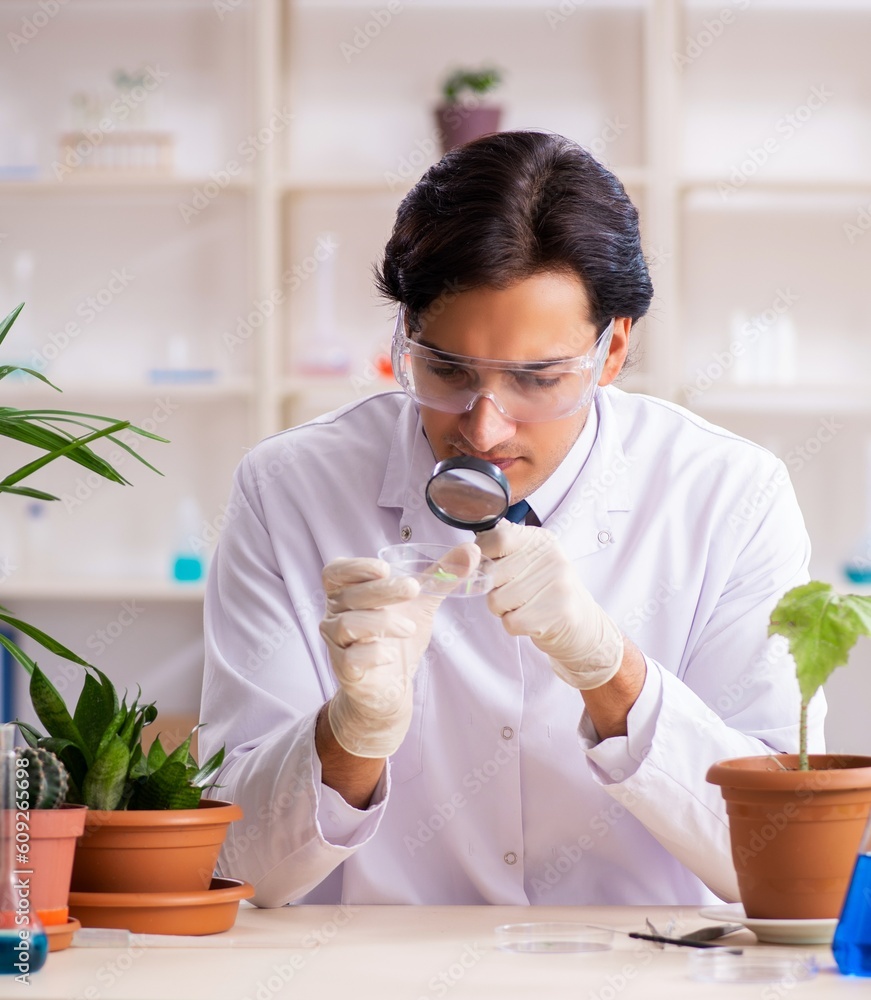 Biotechnology chemist working in lab Biotechnology chemist working in lab