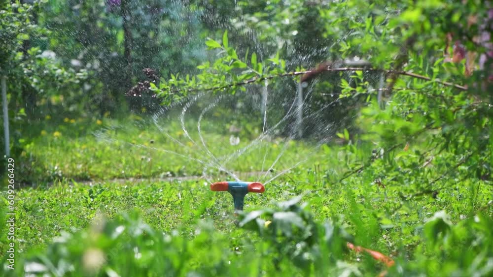 Landscape automatic garden watering system with different rotating sprinklers installed on turf. Landscape design with lawn and fruit garden irrigated with smart autonomous sprayers at sunset time Landscape automatic garden watering system with different rotating sprinklers installed on turf. Landscape design with lawn and fruit garden irrigated with smart autonomous sprayers at sunset time