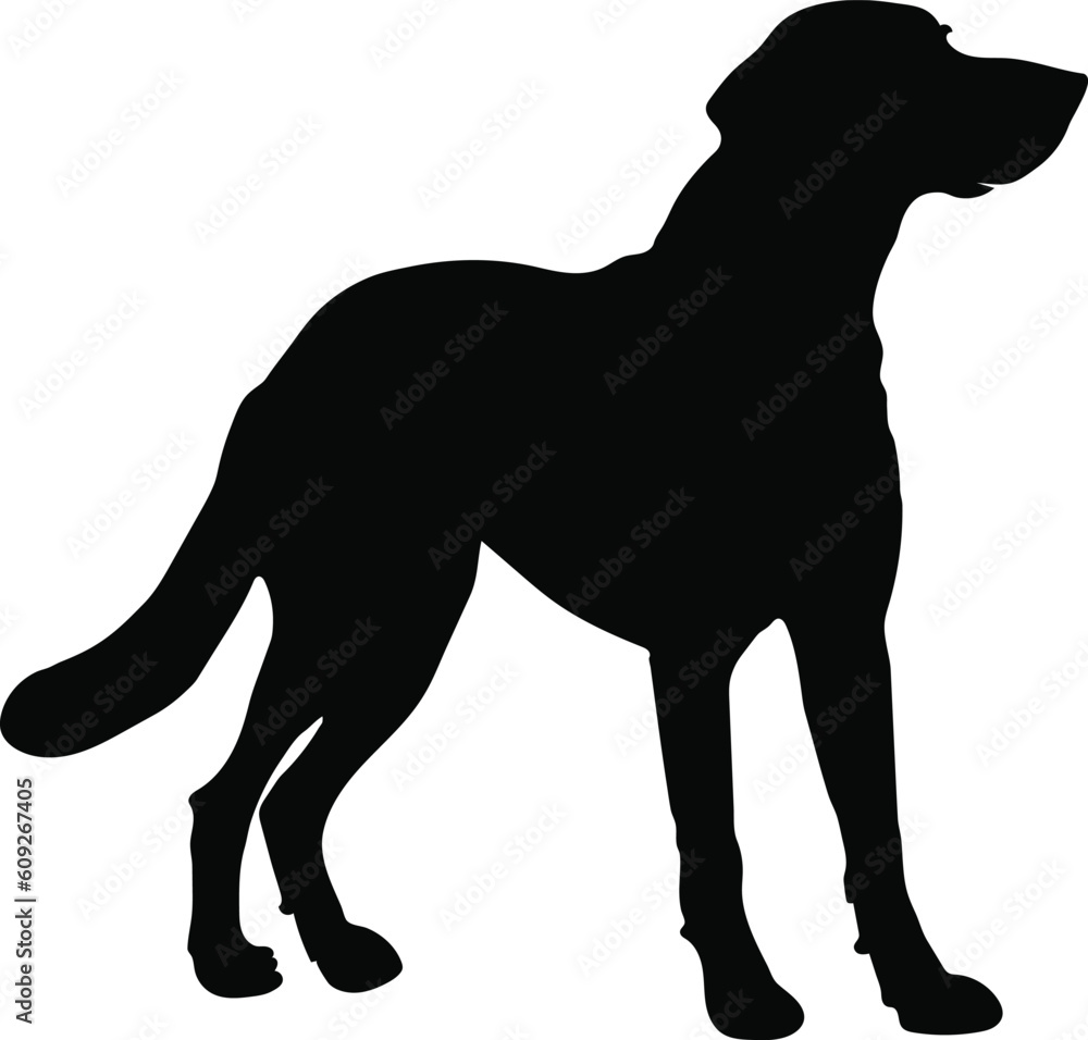 standing dog silhouette vector