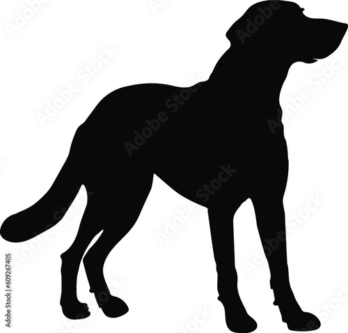standing dog silhouette vector