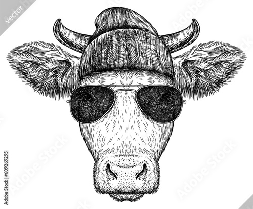 Vintage engraving isolated cow set glasses dressed fashion illustration ink sketch. Farm bull background beef animal silhouette sunglasses hipster hat art. Black and white hand drawn vector image