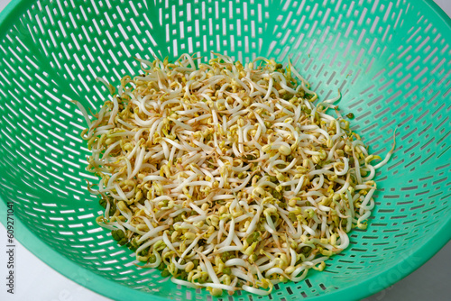 bean sprouts photo