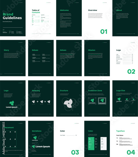 Logo Manual and Booklet Template