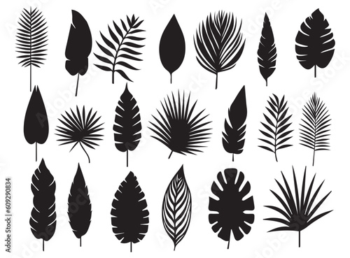 big set palm leaves pattern set black and white vector illustration different palm leaves black silhouette