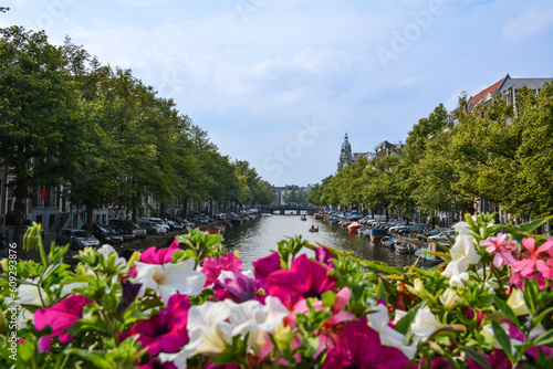 Flowers by the Amstel River - Amsterdam, Netherlands © Pedro